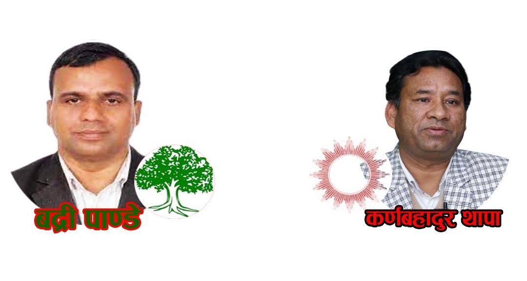 बाजुरामा कांग्रेसका पाण्डे ३ हजार ८८८ मतले अगाडि