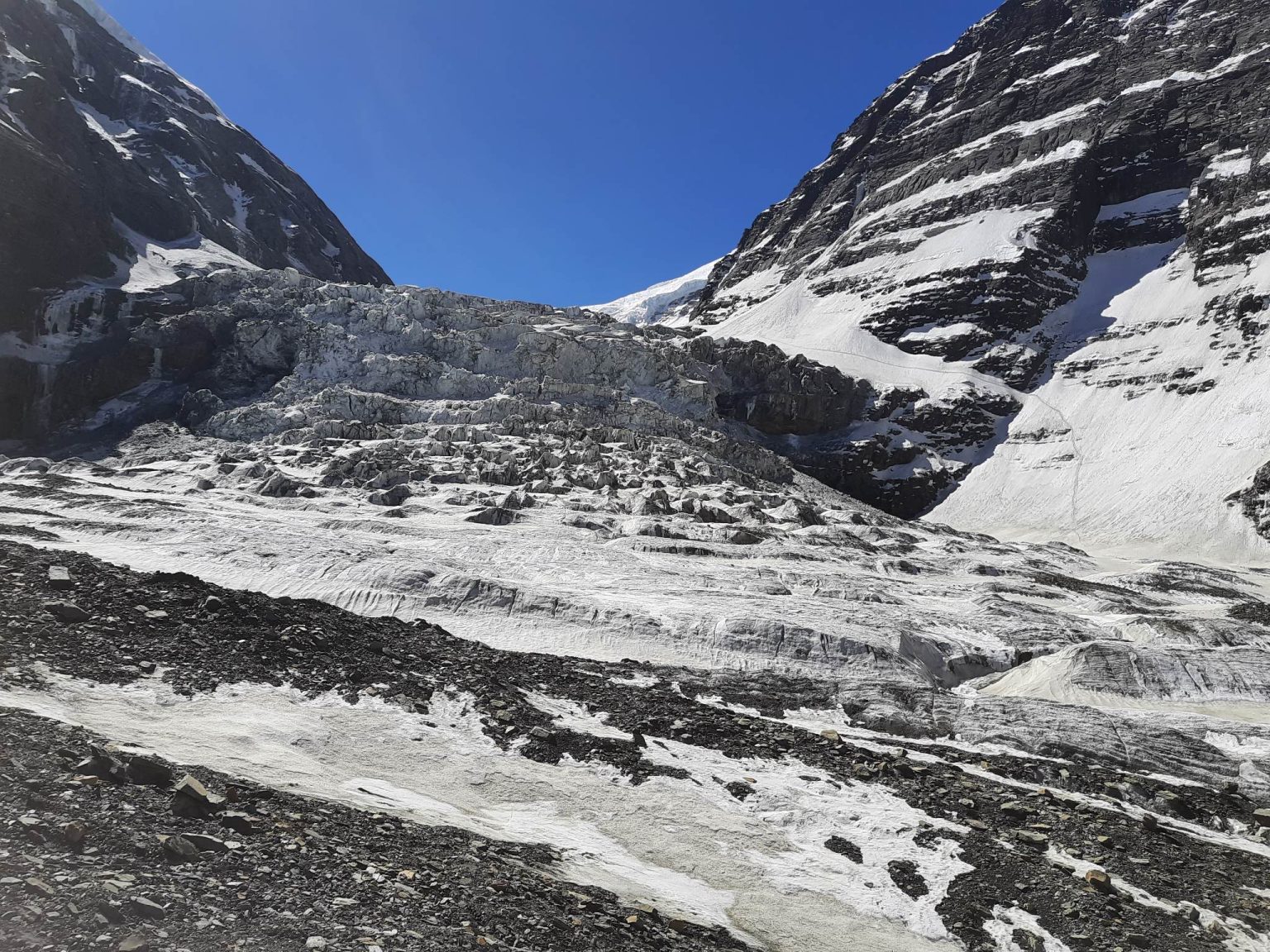 धौलागिरी हिमालमा एक भरिया बेपत्ता