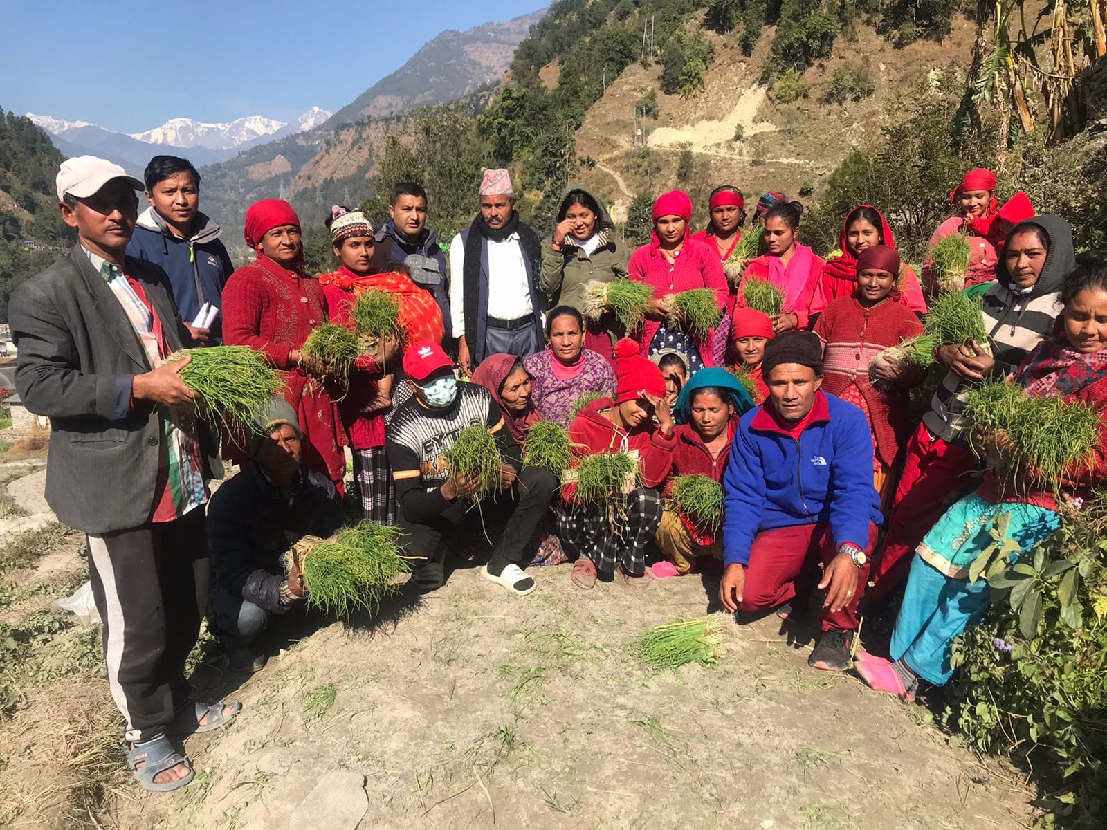 जलजलालाई प्याजमा आत्मनिर्भर बनाउन बेर्ना वितरण सुरु