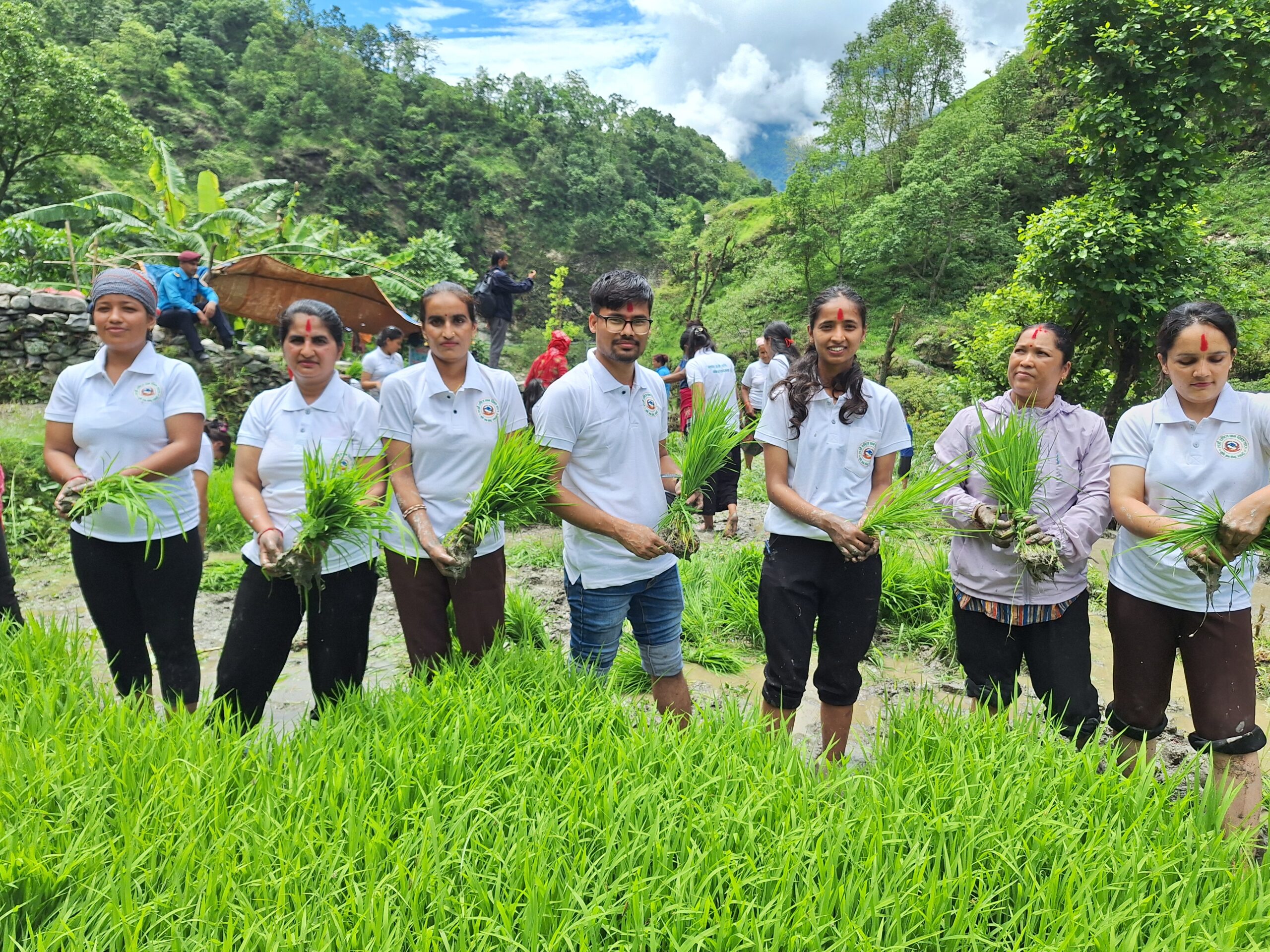 म्याग्दीमा धान दिवस मनाइयो