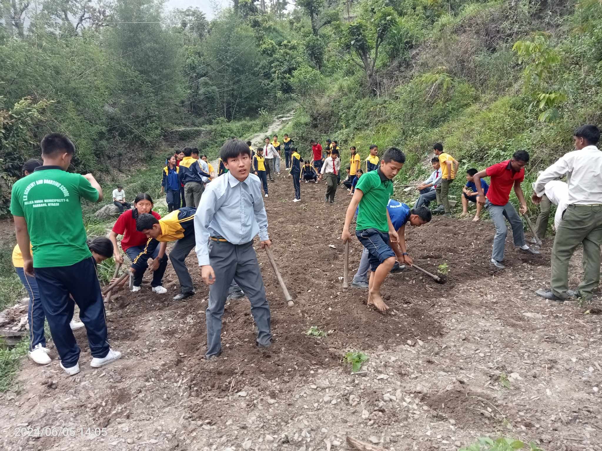 के वि एकेडेमीका विद्यार्थी तरकारी खेतीमा ः सामुदायिक पाखोमा वृक्षरोपण