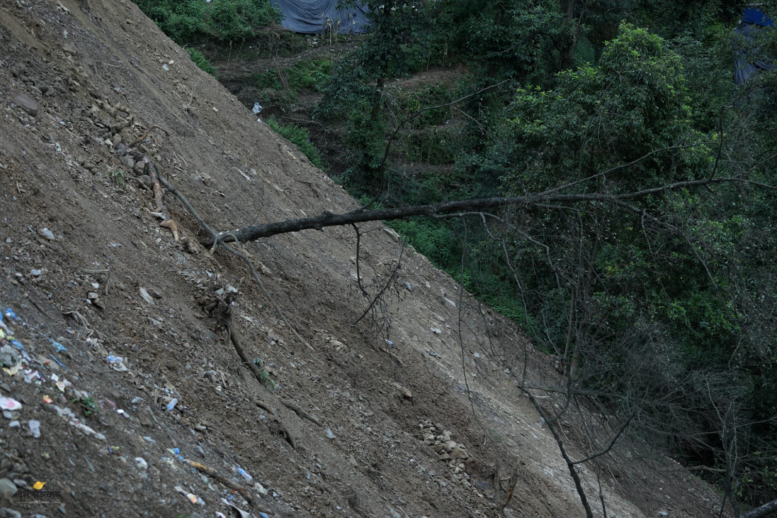 म्याग्दीमा पहिरोमा परेर बाबु छोरा बेपत्ता