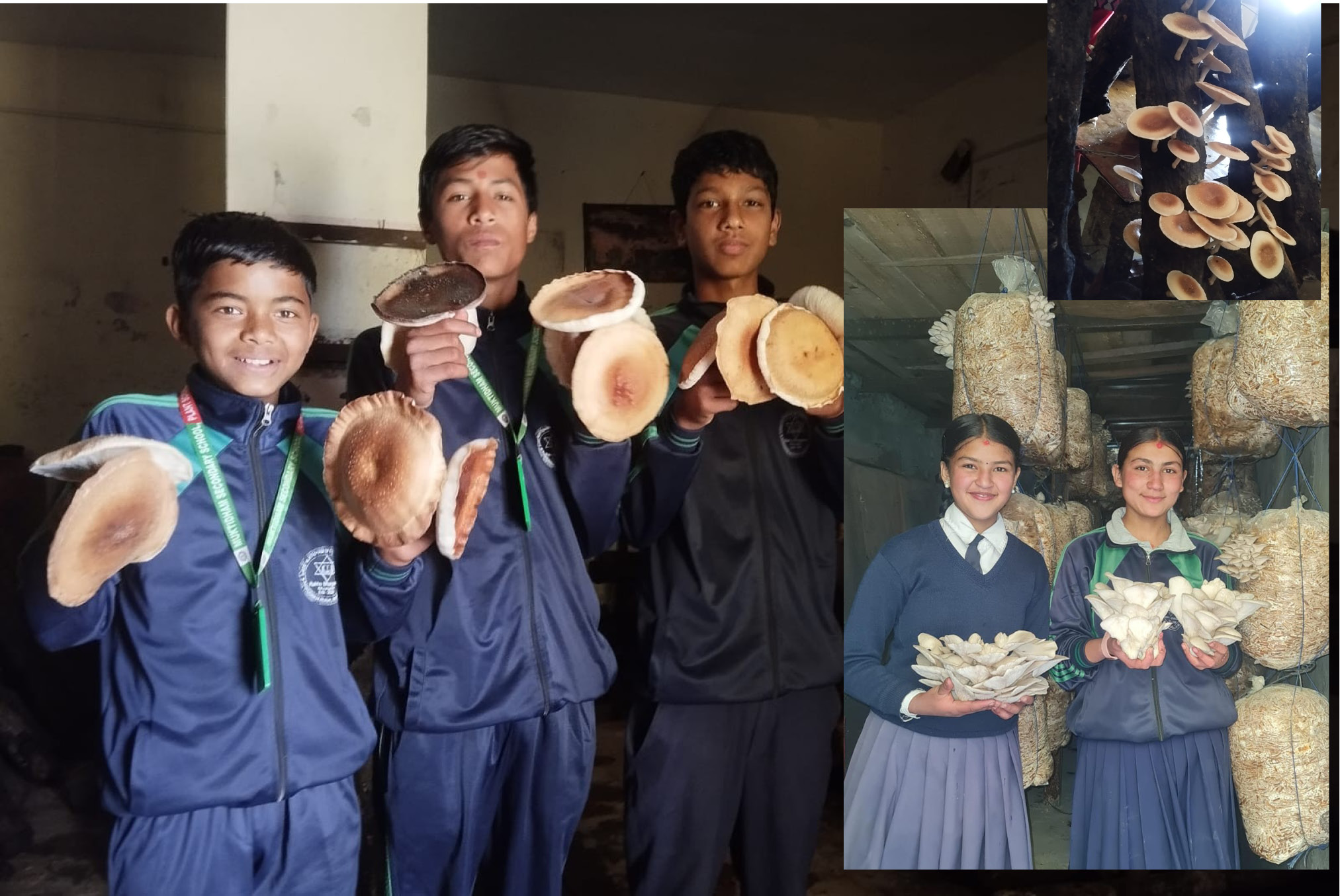 मुक्तीधाम विद्यालय परिसरमै गरे विद्यार्थीले तरकारी खेती (फोटो फिचर)